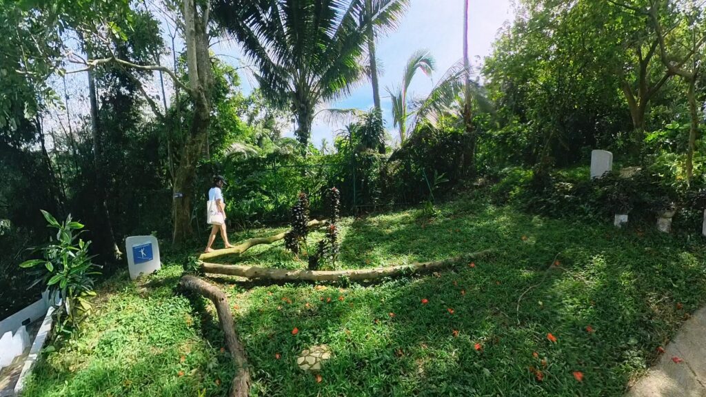 Walk Balancing at Wellness Village